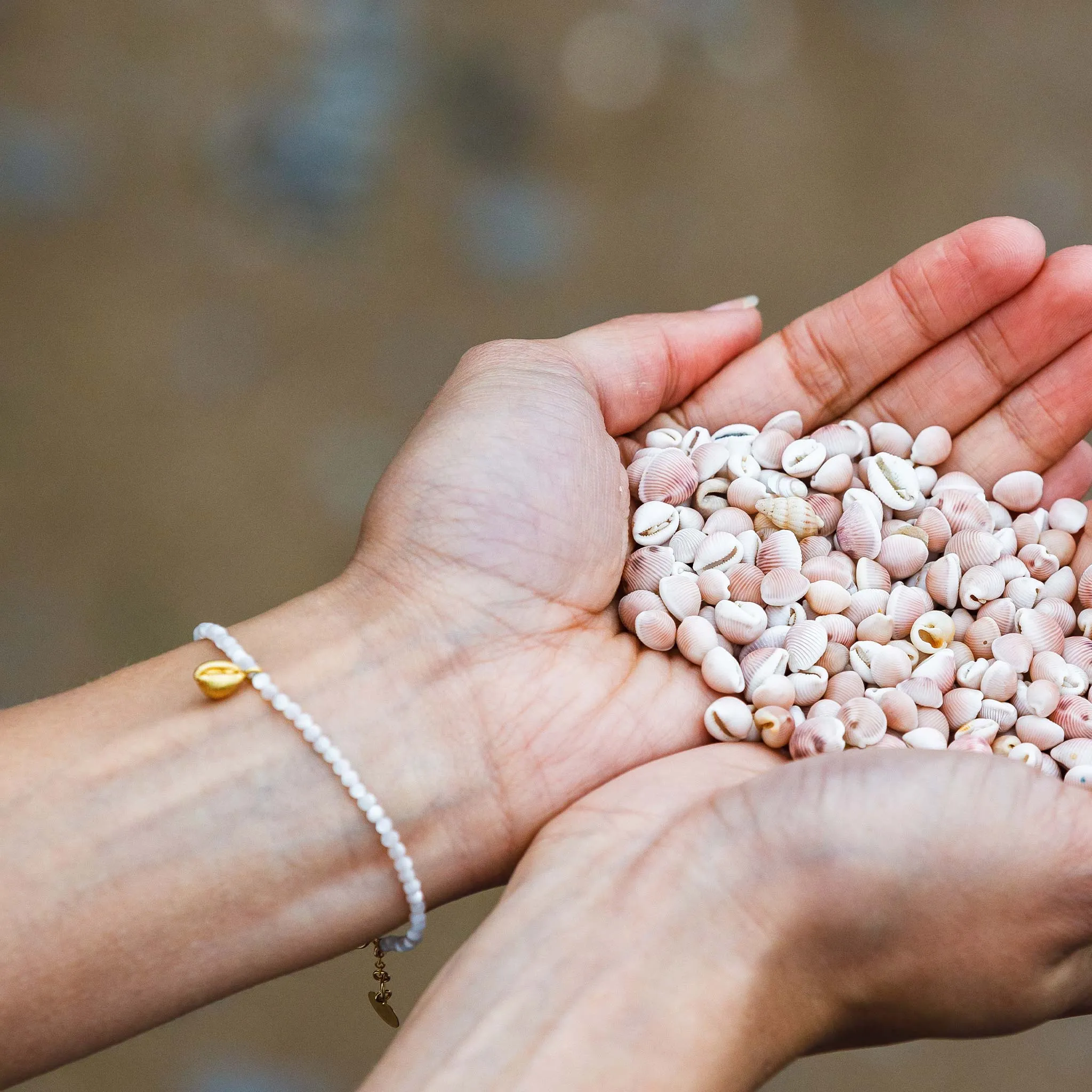 Beachdaze Cowry and Mother of Pearl Beaded Bracelet