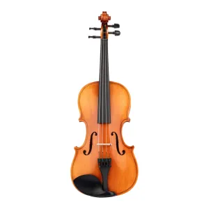 Beale BV134 Violin Standard 3/4 Size Outfit