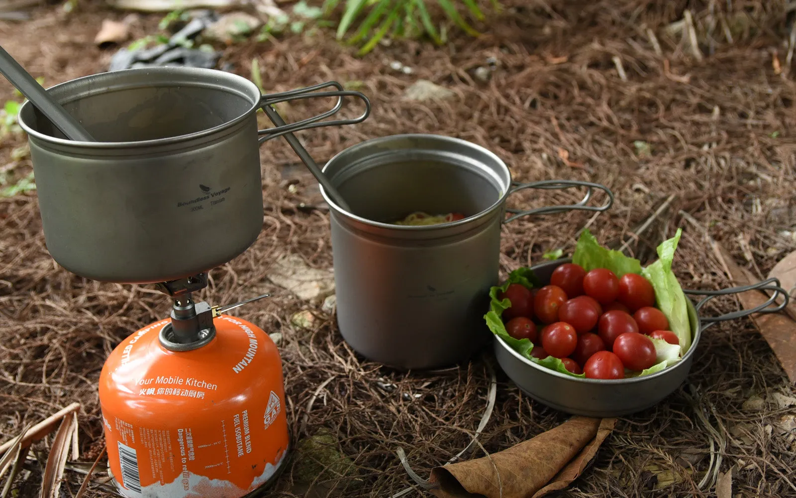 Boundless Voyage Outdoor Titanium Pot Pan Set 500ml 900ml with Lid Folding Handle Camping Hiking Picnic Ultralight Tableware