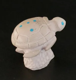 Tranquil Sea Turtle